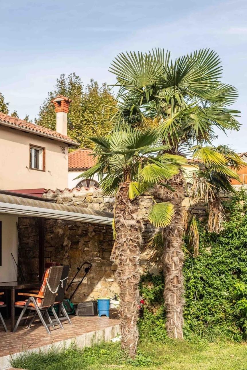 Appartamento Cozy Corner Capodistria Esterno foto